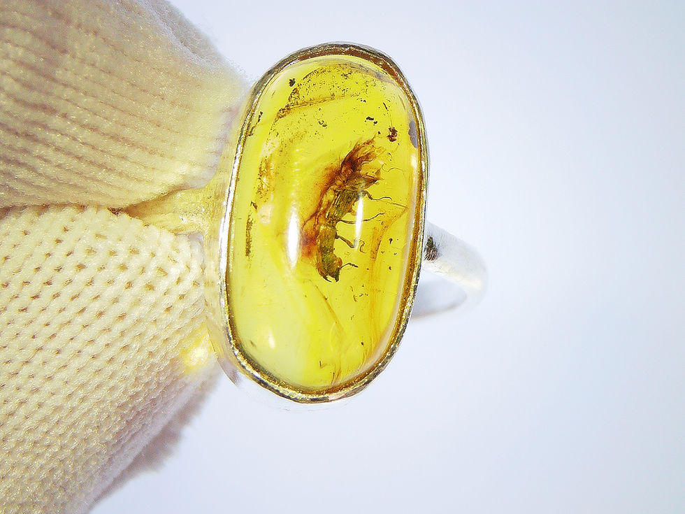 Thumbnail: Amber Jewelry • Size 9.75 Fem • .925 ring with Beetle inclusion • #23