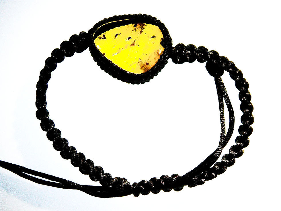 Burmese amber with fly on bracelet over light board
