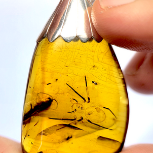 Amber Encyclopedia Entry #11: Burmese Amber Spider Fossil in Silver Pendant