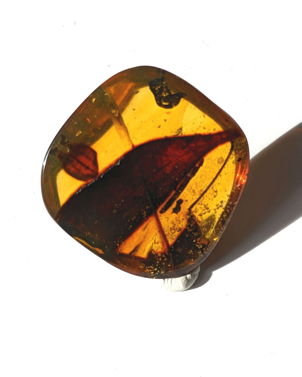 Thumbnail: Amber With Insects #122 • Large Leaf, 2 Small Leaves, Twig, Small Clear Mosquito