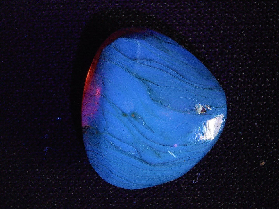 Thumbnail: Burmese amber with partially decomposed specimen over uv light