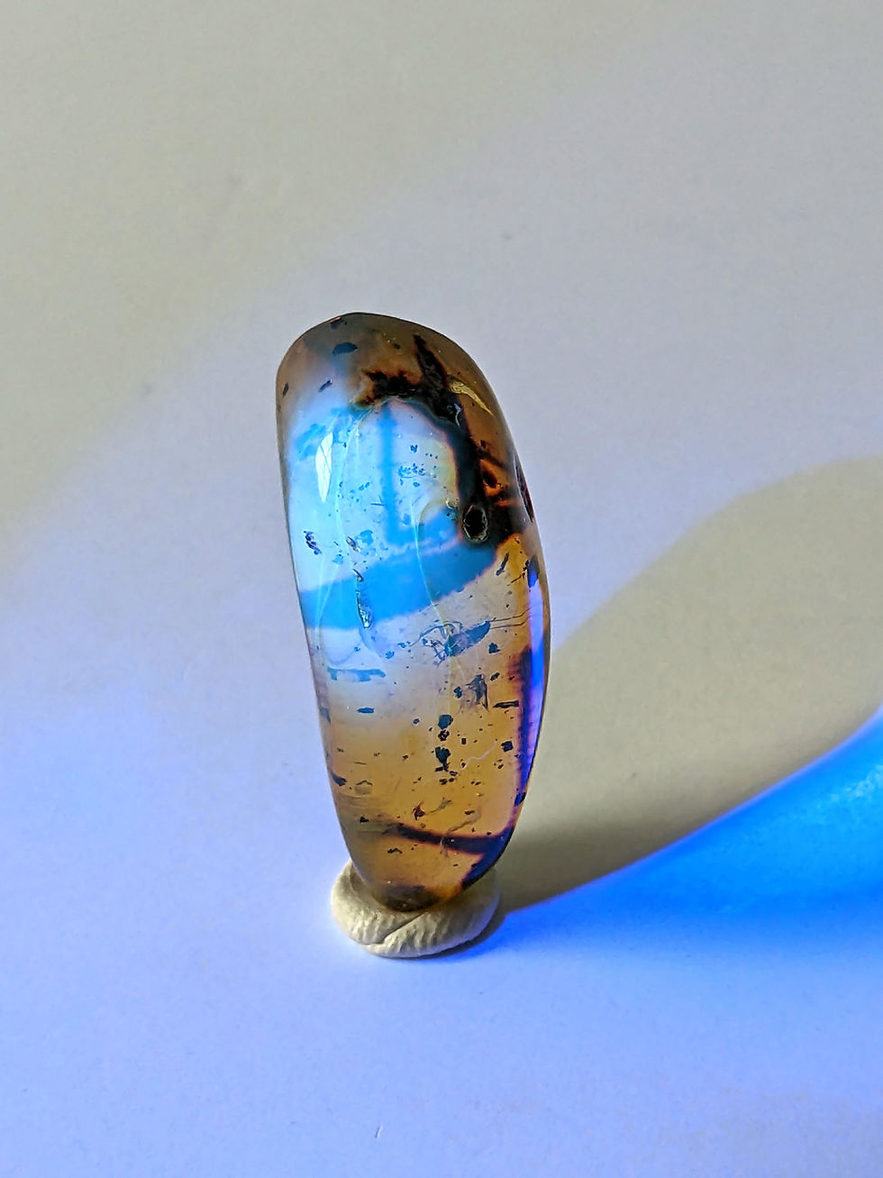Thumbnail: Amber With Insects #334 • Large Grasshopper 