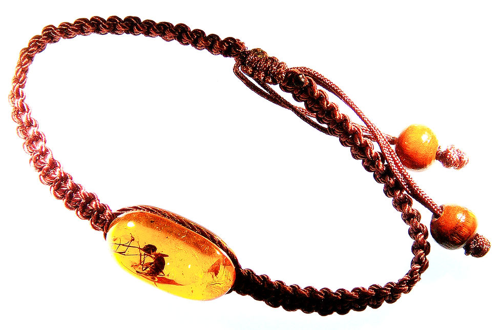 Dominican amber bracelet with fly inclusion displayed on a light board