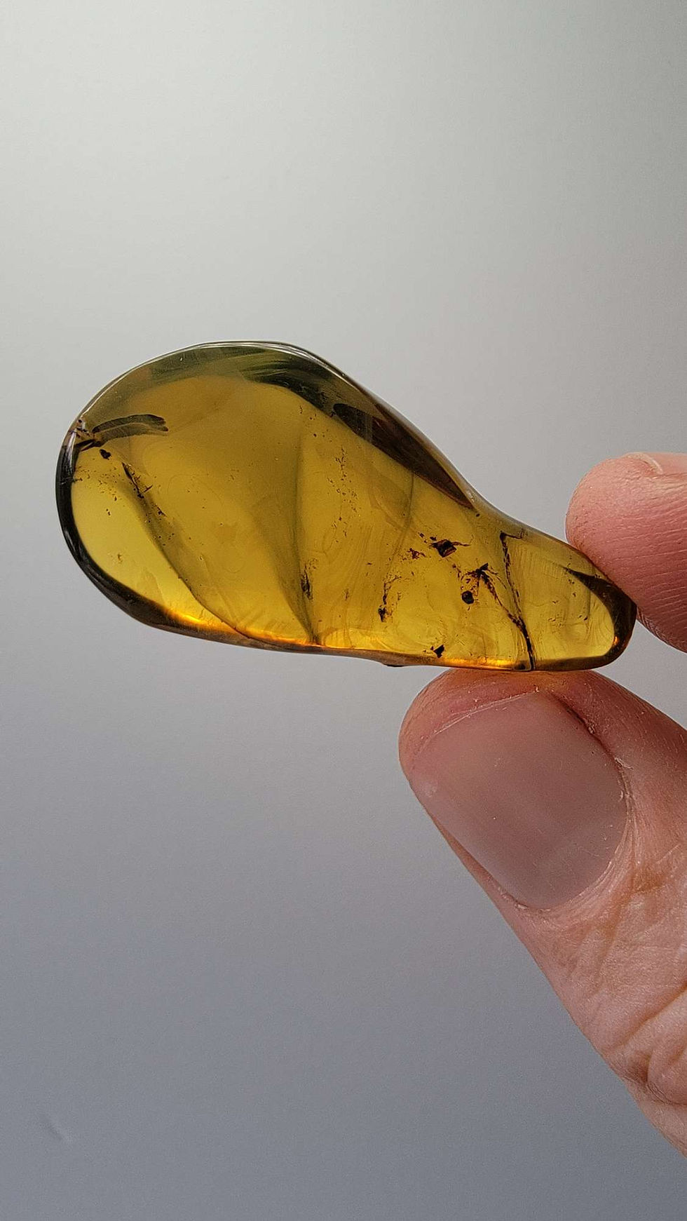 Clear Dominican amber. Beautiful, but no inclusions. This amber is plentiful.