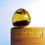 Thumbnail: Burmese amber with beetle over ruler