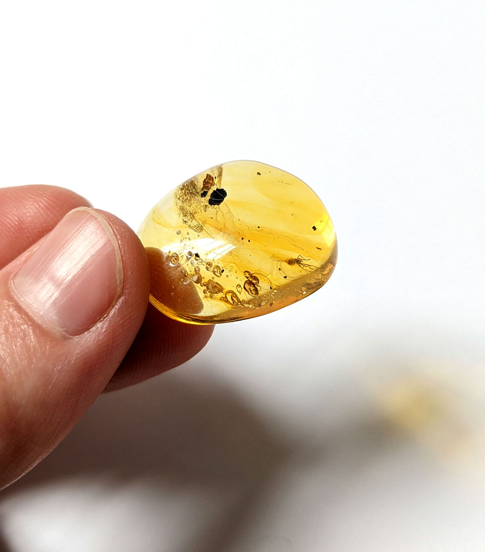 Thumbnail: Amber With Insect • Spider With Spiderweb, 2 Enhydros!