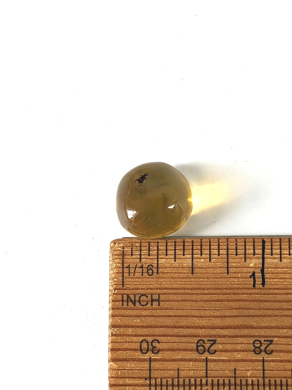 Thumbnail: Amber with Insects #425 • Museum Clarity Bee 