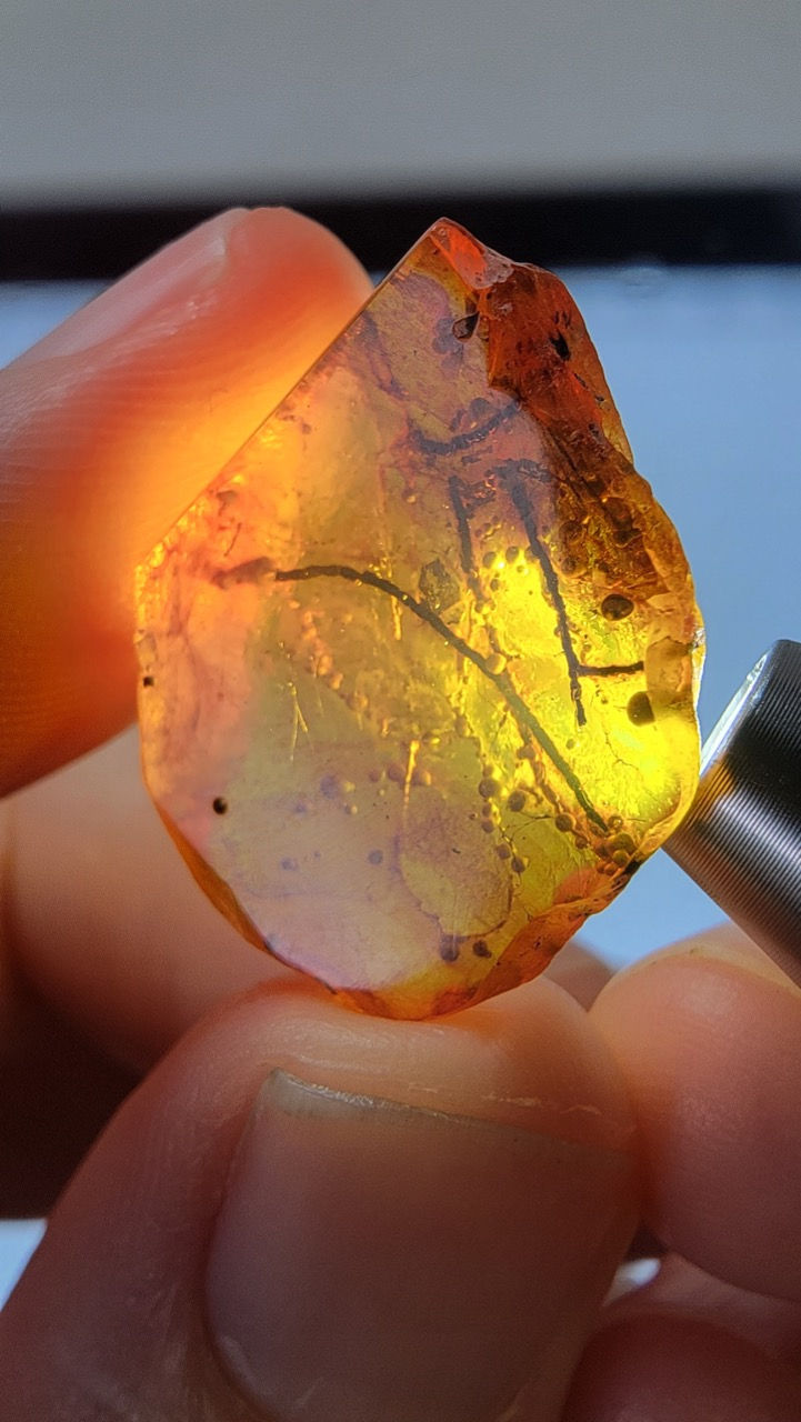 Polished Burmese Amber - Revealing what we suspected: An anther inside! The male part of a the flower that produces pollen. This is a rare find.