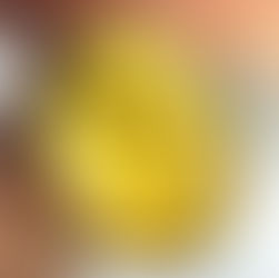 Amber Encyclopedia Entry #6: Cretaceous Mosquito in Burmese Amber Silver Ring