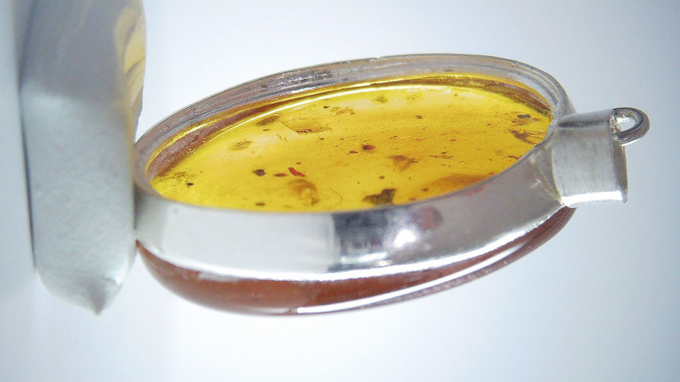 Thumbnail: Amber Jewelry • .925 pendant with mosquito swarm #7