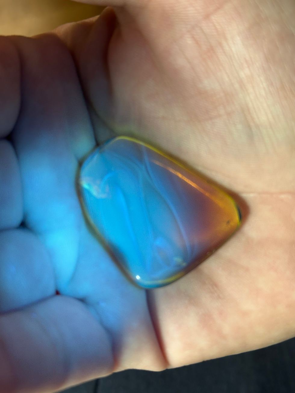 Thumbnail: Buy Amber with Insects • #685 Fly in Dominican Amber