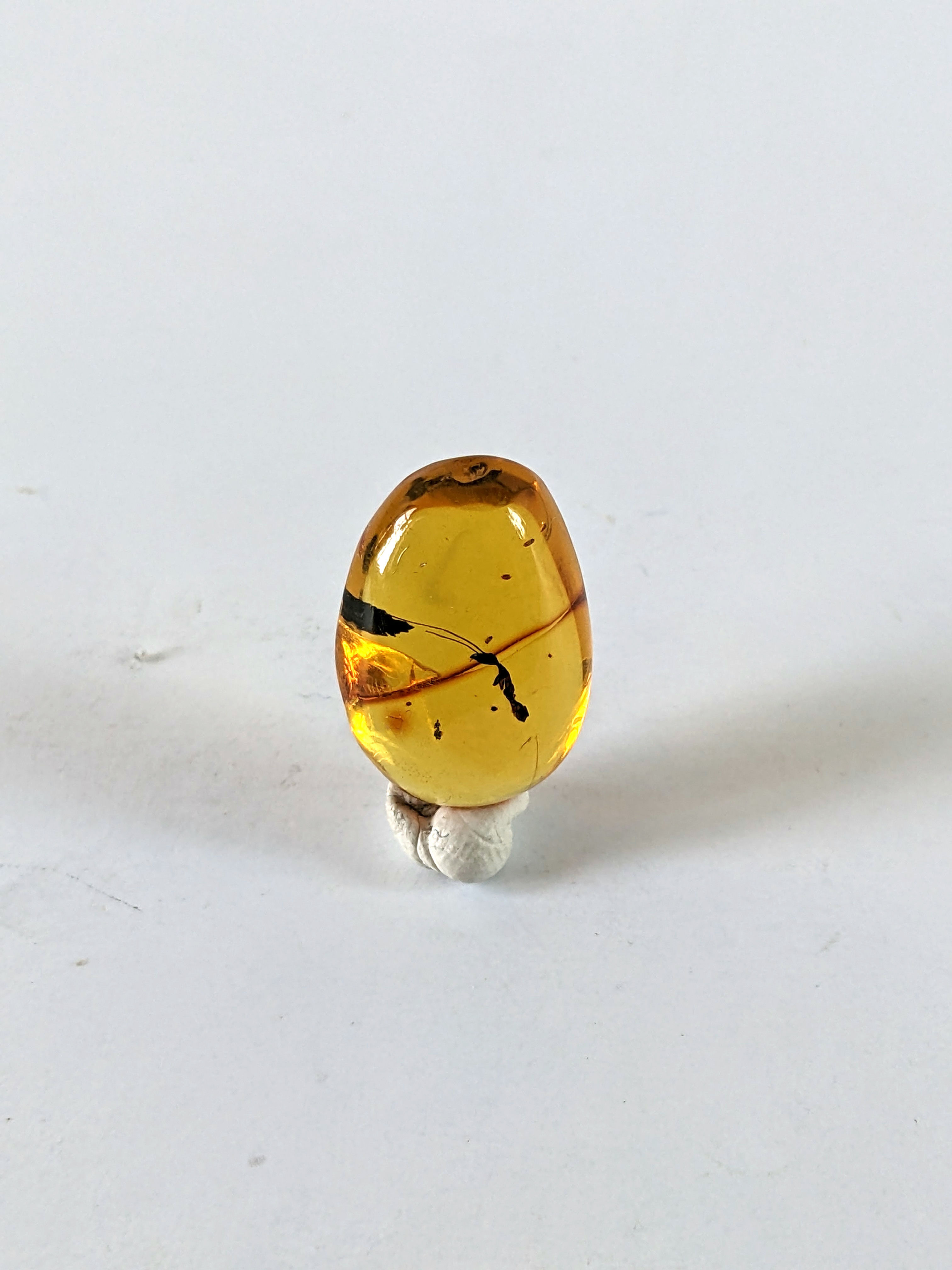 Amber With Insects #382 • Clear Termite