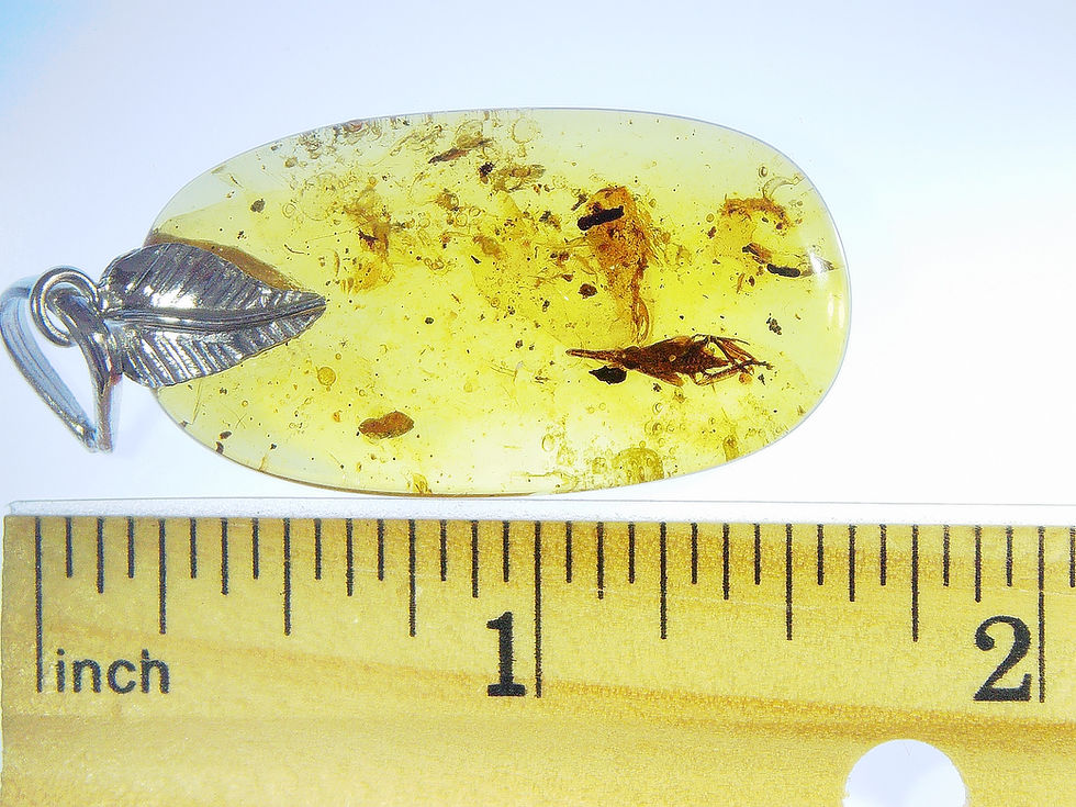 Thumbnail: Amber Jewelry • .925 amber pendant with weevil • #51