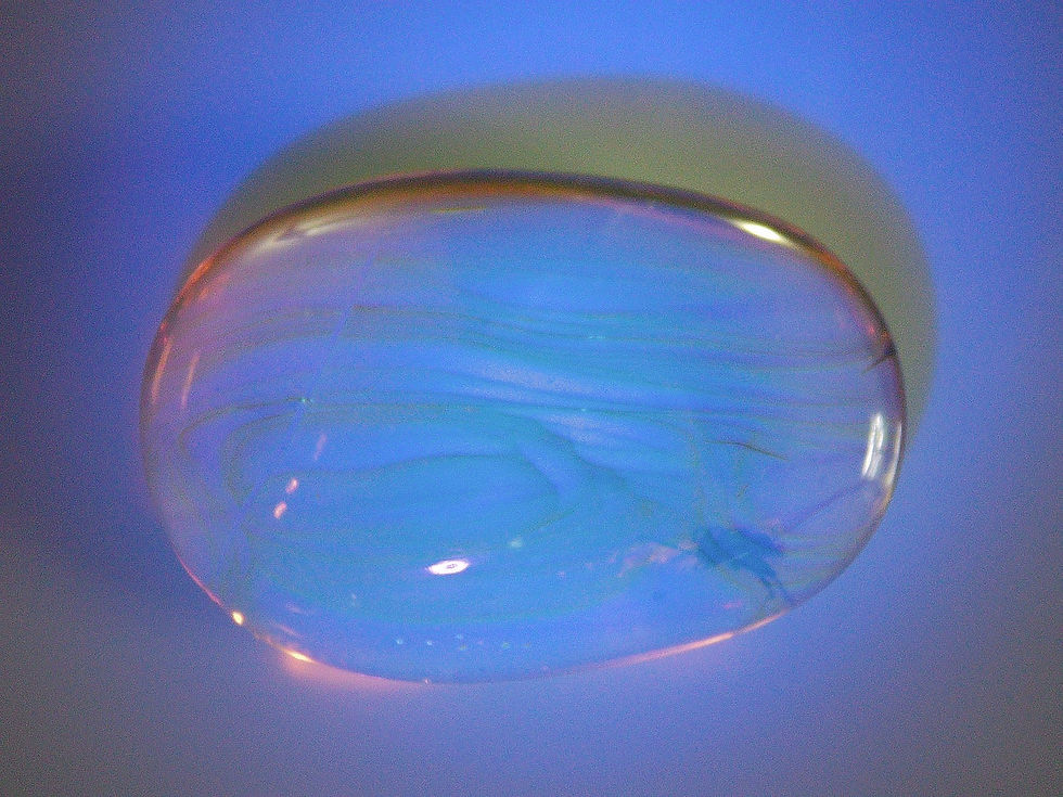 Thumbnail: Burmese amber with beetle under uv light