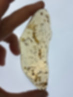 colombian amber with inclusions Hand holding amber with preserved insects against a light background, highlighting detailed patterns and textures within the translucent amber.