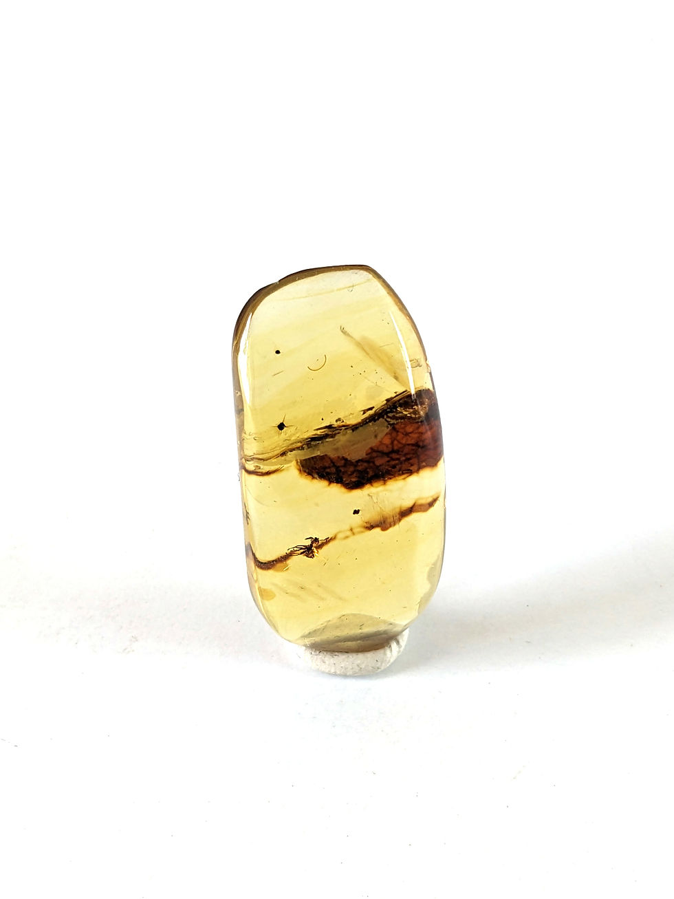 Amber With Insects #390 • Ant and Leaf