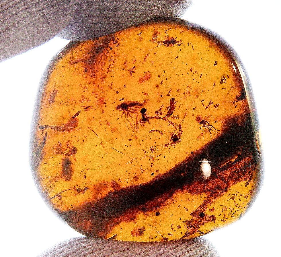 Thumbnail: Burmese amber with swarm of spring inclusion held between two fingers