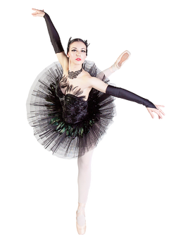 Wedding, Dancers, Ballet, Ballerina