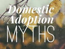 10 Adoption Myths