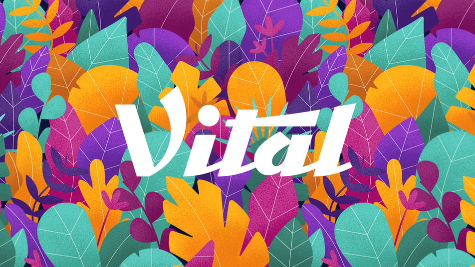 Vital Edibles Brand Design by Shelby Rinke 