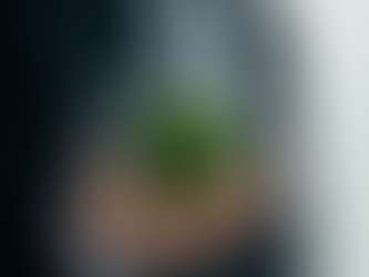 The Great Divergence: 2025 Sustainability Year-in-Review