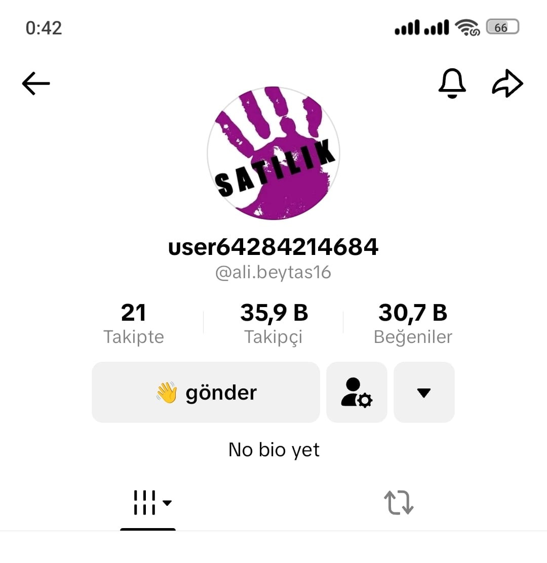 Satılık Tiktok