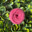 Thumbnail: Recycled Tweed | Recycled wool blend