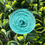 Thumbnail: Recycled Tweed | Recycled wool blend