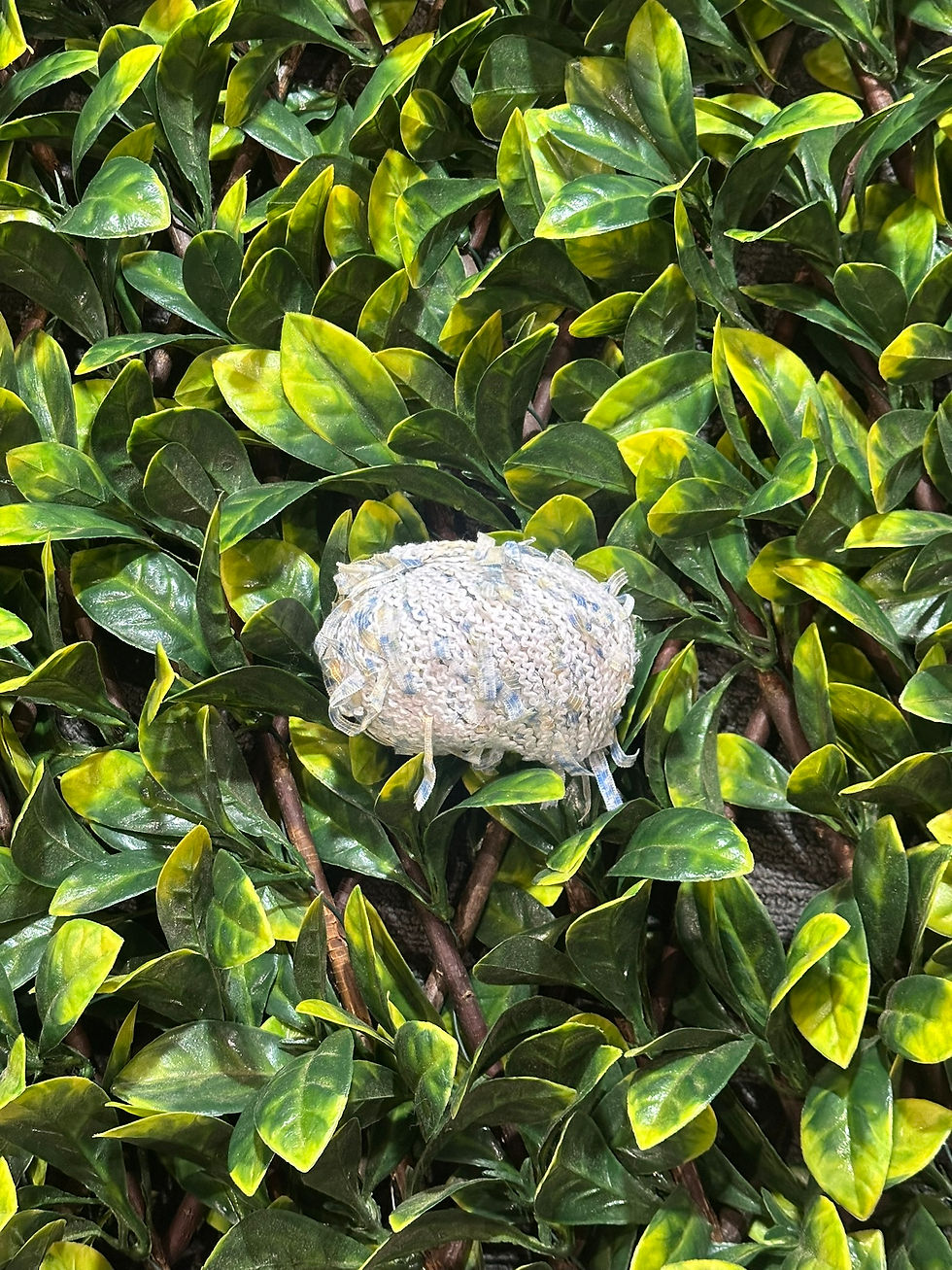 Thumbnail: Five Stars Eden | Eyelash Novelty yarn