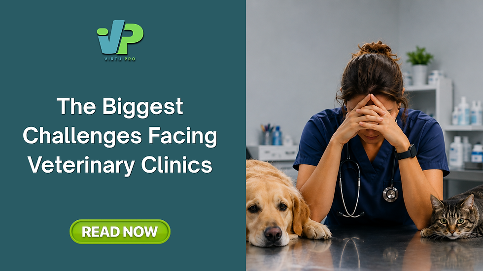 The Biggest Challenges Facing Veterinary Clinics Today