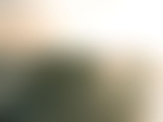 Thérapies analytiques de groupe