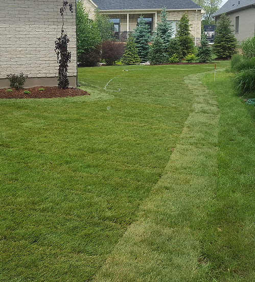 Sod and Grading - London, Ontario