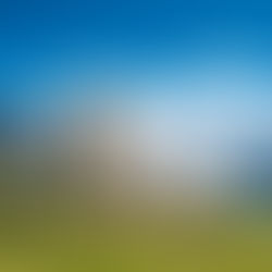 Schwarznasenschafe in Berglandschaft mi blauem Himmel