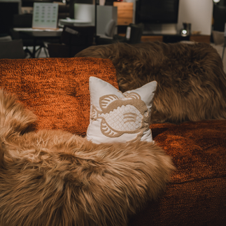 Schaffell Island Langhaar auf Couch