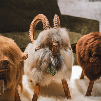 Schafhocker mit Lammfell steht in Wohnzimmer