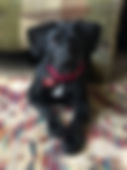 Labby
