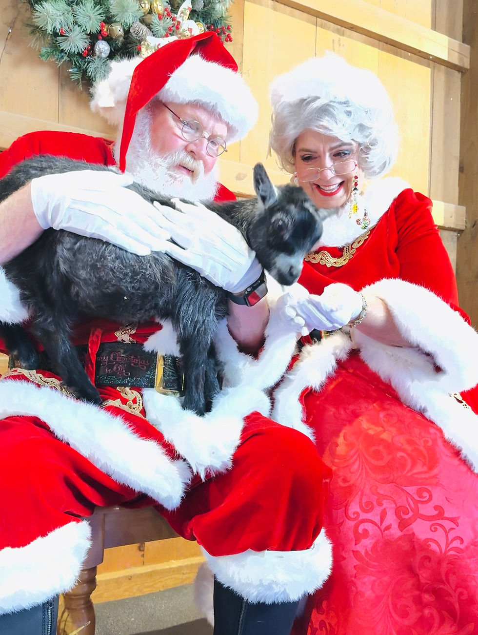 Santa experience at Pygmy Harbor Farm