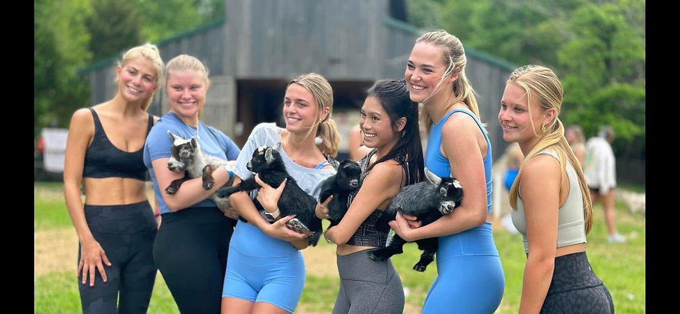 Pygmy Harbor Goat Yoga