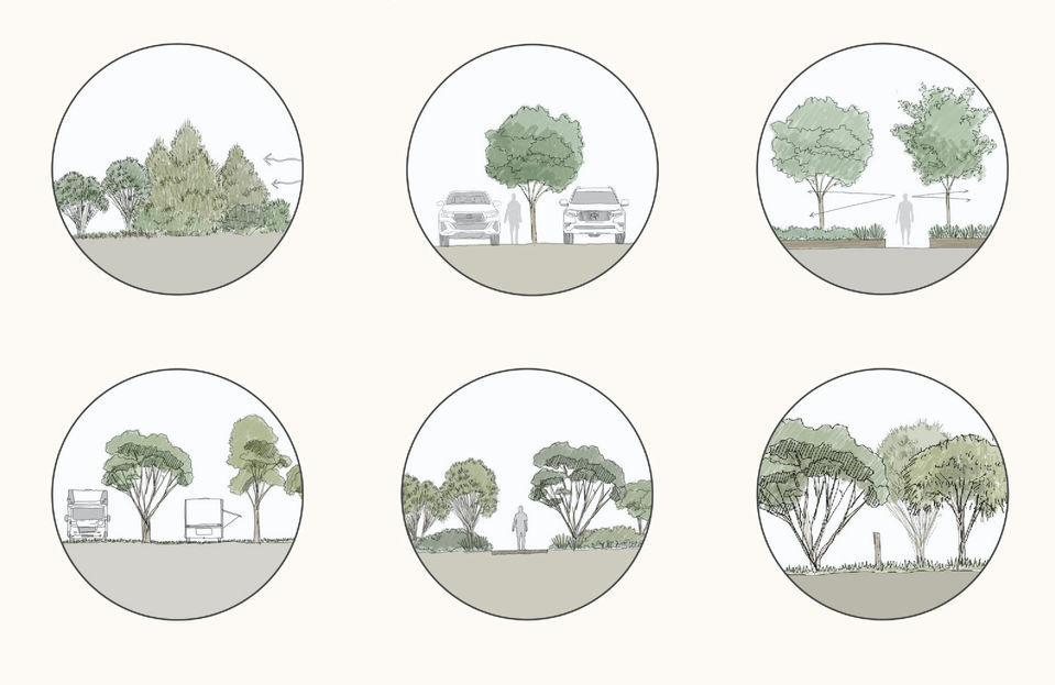 Diagram showing different planting zones in a master plan