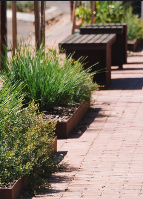 Native Australian planting with steel edging and clay pavers