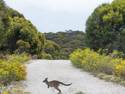 5 of our favourite things about the places we work