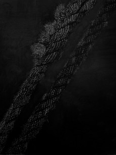 Parallel Lines