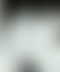 Train Dreams - A Review