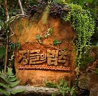 정글의 법칙.jpeg