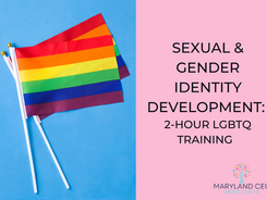 Foreground words/title: Sexual & Gender Identity Development: 2-Hour LGBTQ Training. Background image half pink, half blue on left with 2 rainbow flags.