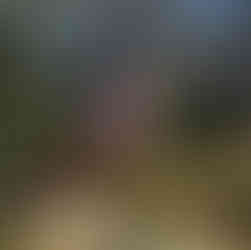 Tratto di sentiero da Manarola a Volastra