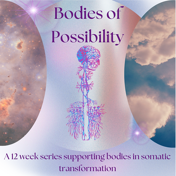 bodiesofpossibility.png