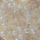 Thumbnail: Lace tablecloth for rent