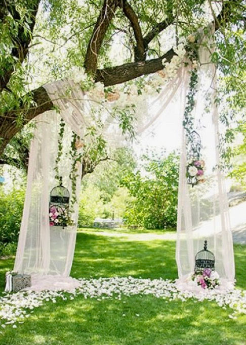 Thumbnail: wedding arch ideas