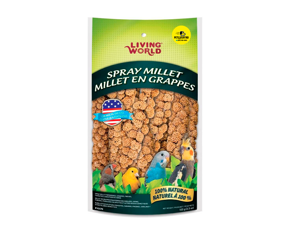 LIVING WORLD SPRAY MILLET